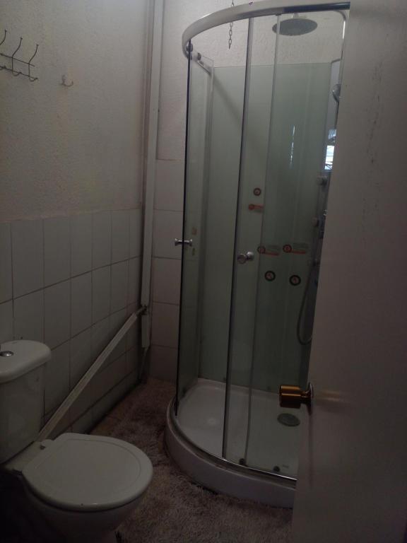 un bagno con wc e doccia in vetro di Hostal Palmera a Rancagua