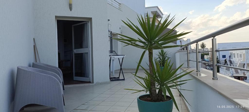 a balcony with two chairs and a plant on it at TIM Haute standing appartment S2, center Monastir in Monastir