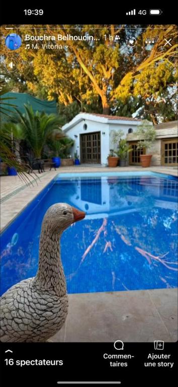 Image of Villa Sogatour Saidia