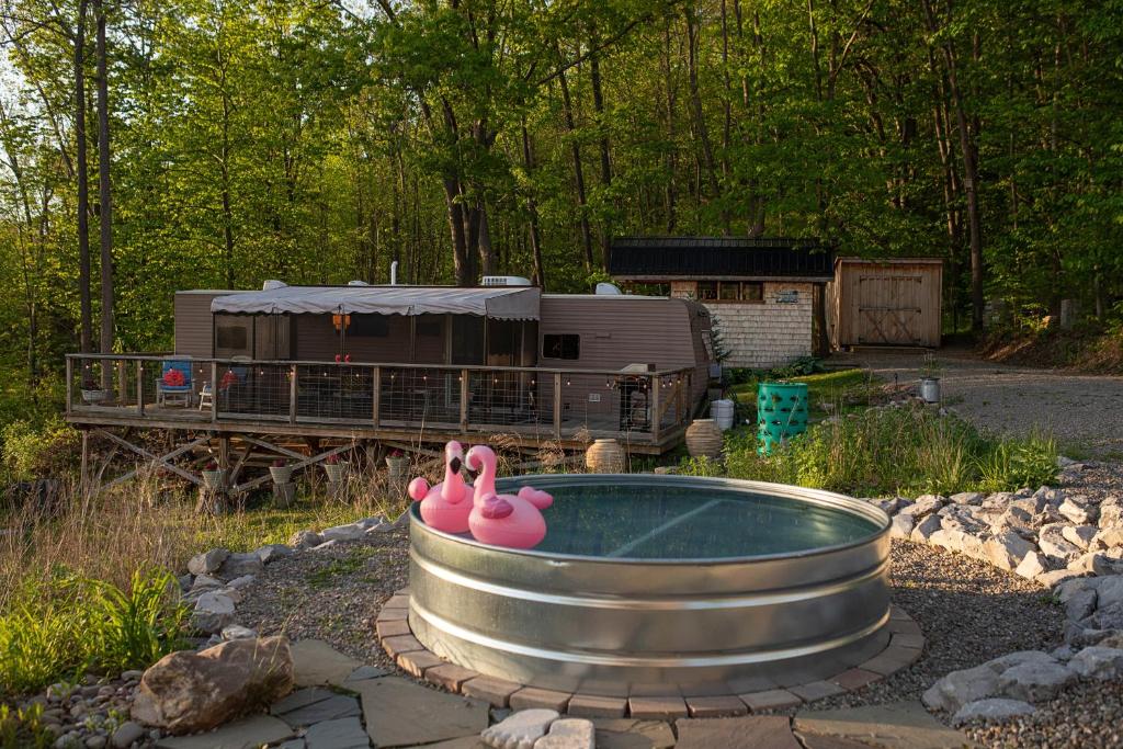 Zahrada ubytování Conesus Lake Glamping With A View