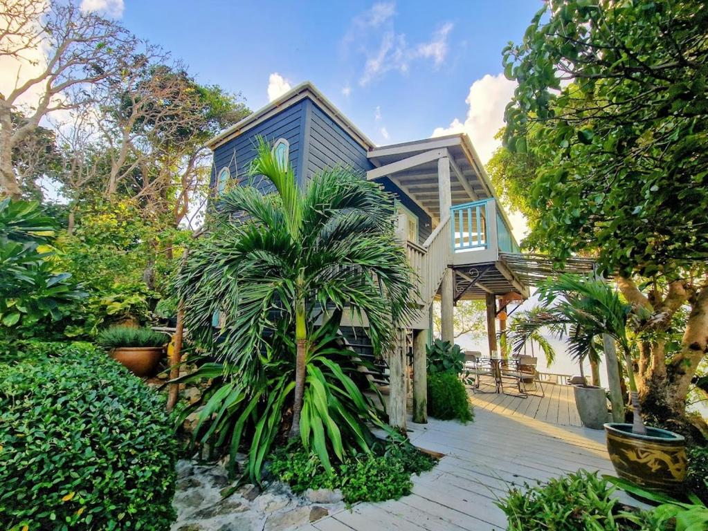 a house with a palm tree in front of it at Lowena Cottage in Tortola Island