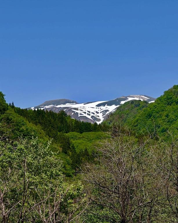 アパートメントの近くで見られる自然の景観