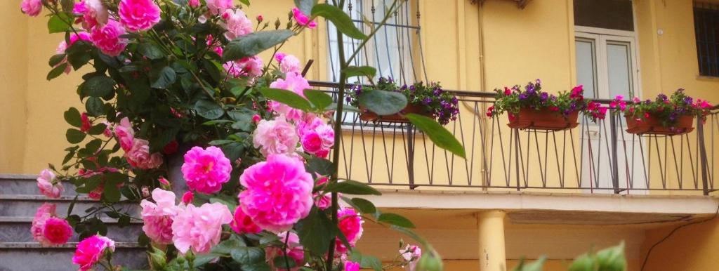 Balkón nebo terasa v ubytování B&B Maison Rosetta IUN-E4948