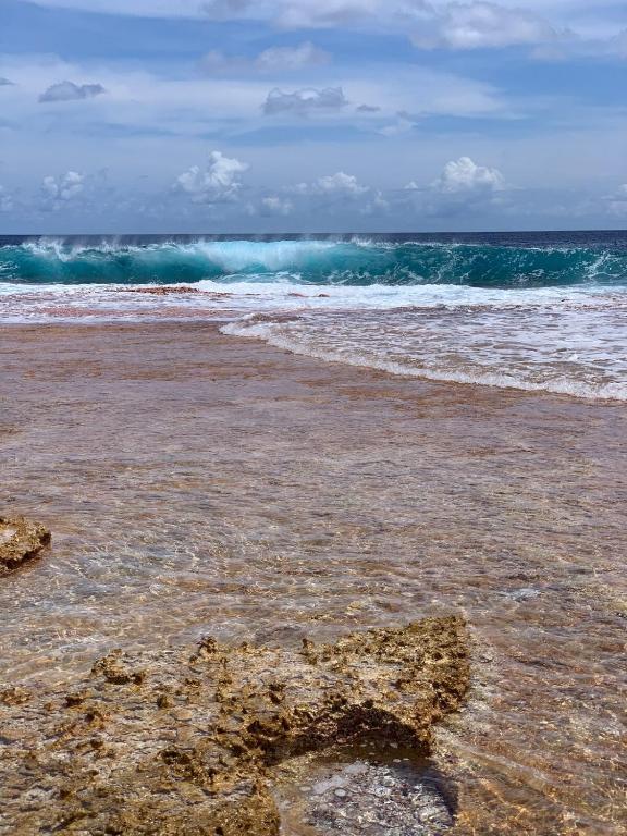 een strand met de oceaan en golven bij Te Anuanua Lodge in Avatoru
