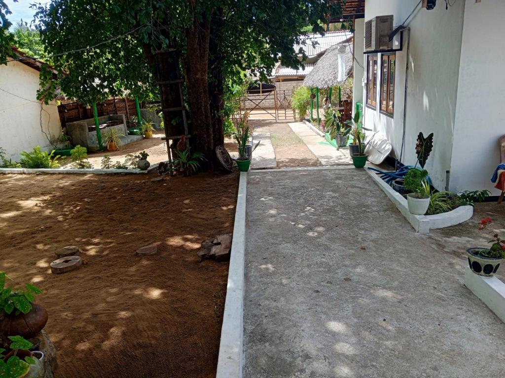 Okolí hostelu