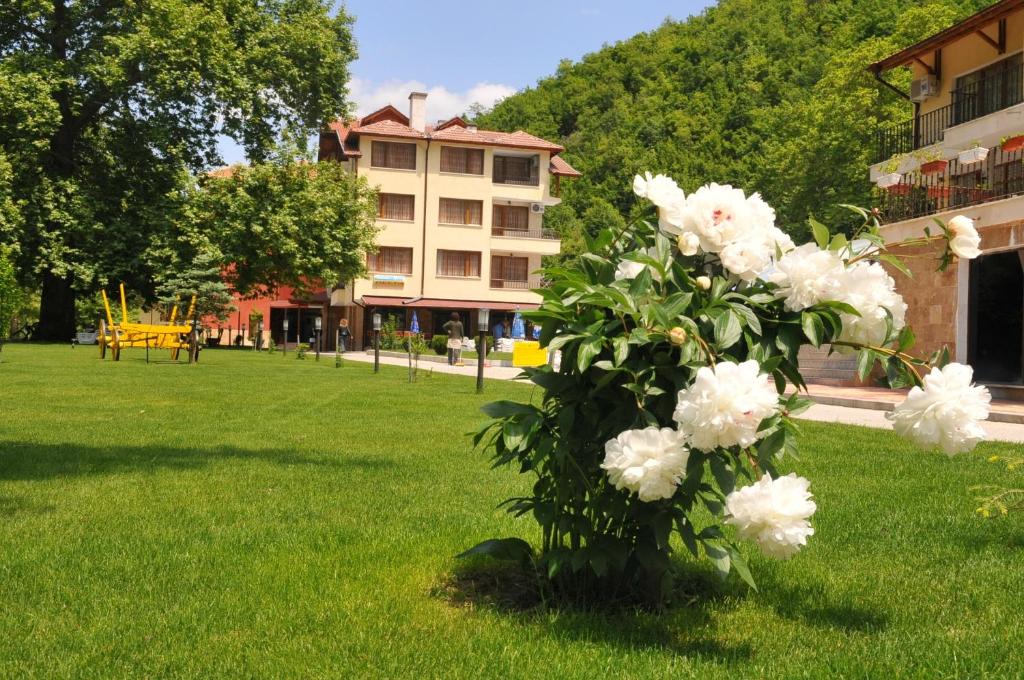 un bouquet de fleurs blanches assises dans l'herbe dans l'établissement Family Hotel Delta, à Ognyanovo