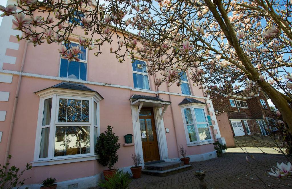 a pink house with blue windows and a tree at Maenllwyd Guest House in Machynlleth