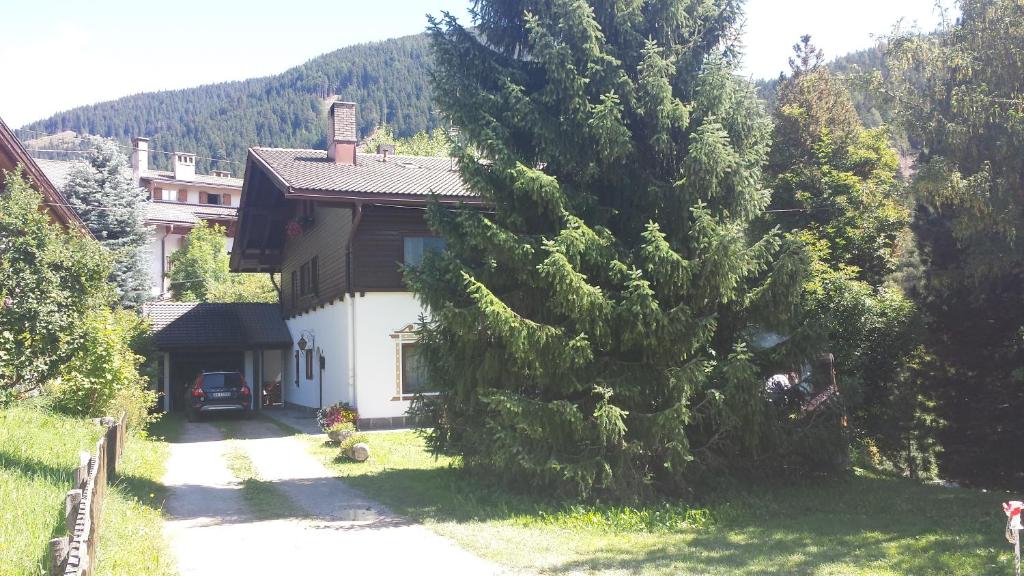 Příroda nedaleko apartmánu