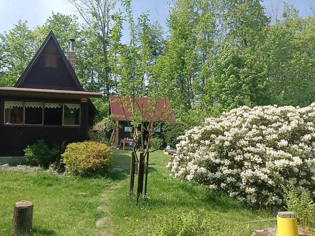 a house with white flowers in front of a yard at Chata Evička a Jiříček in Raškovice
