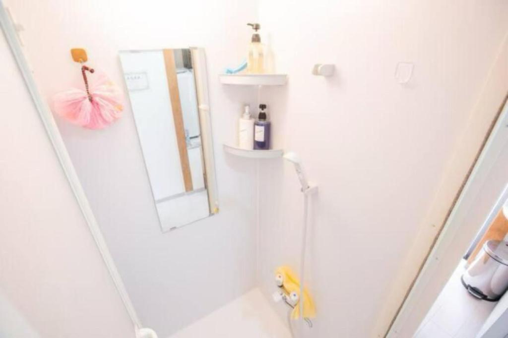 a bathroom with a shower and a mirror at 新宿久久小木屋 整栋出租 in Tokyo