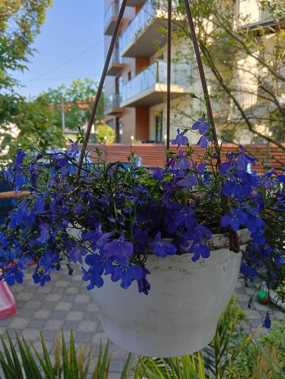Zahrada ubytování Guest house on Devyatnadtsataya