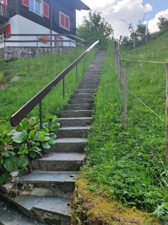 Un jardín fuera de Tannenboden