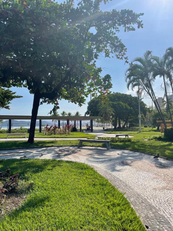 a park with a tree and a path at Apartamento aconchegante no Boqueirão in Santos