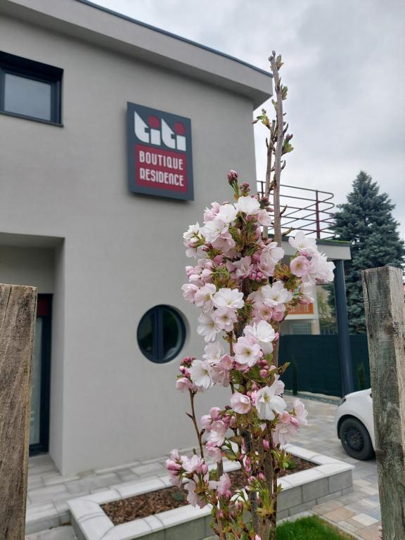 drzewo z różowymi kwiatami przed budynkiem w obiekcie Titi Boutique Apartmanok w Bukfurdo