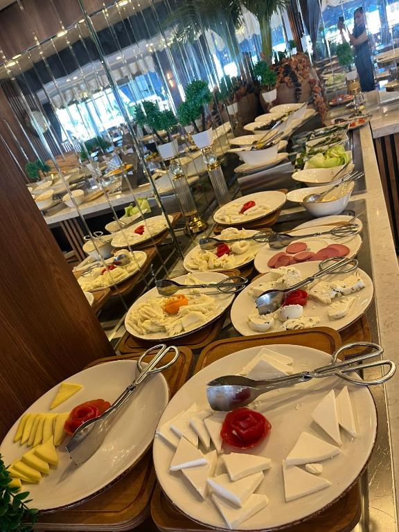 تصویر اتاق‌های Elite World GO Van Edremit - تصویر ۲