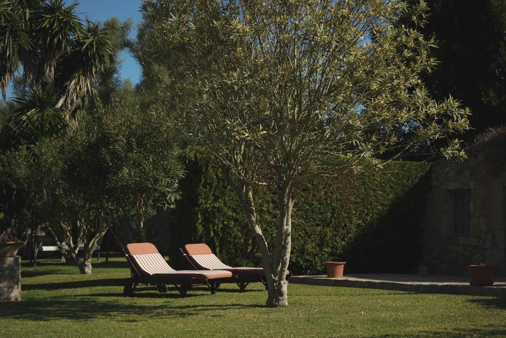 A garden outside Reserva Rotana Golf Resort
