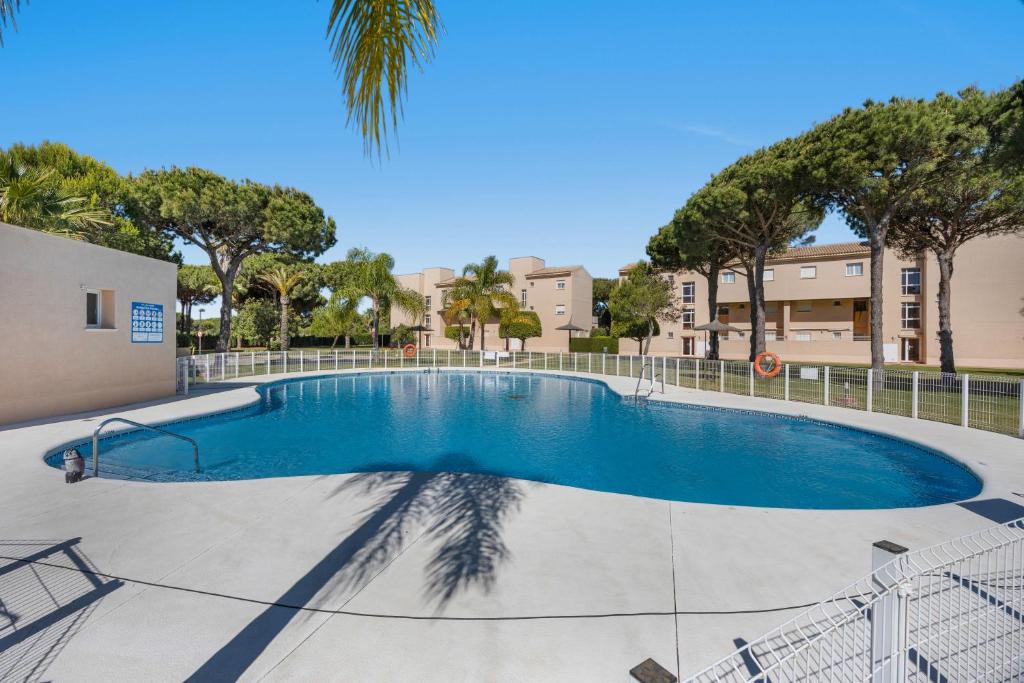 a swimming pool with a palm tree in the middle at Apartamento con piscina Chiclana in Chiclana de la Frontera