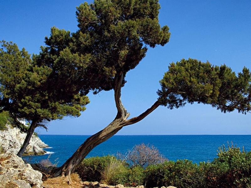 Villa Lemy