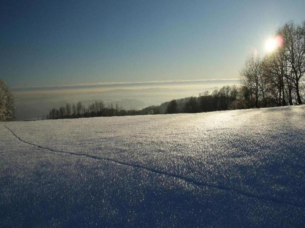 Comfortable apartment in Zenting in Lower Bavaria v zimě