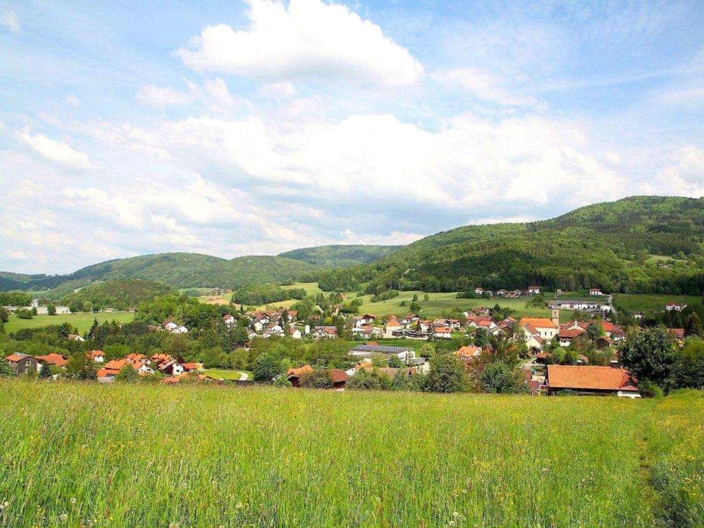 Příroda nedaleko apartmánu
