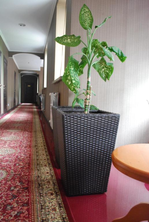 Fotografie z fotogalerie ubytování Astor Hotel & Spa v destinaci Biškek