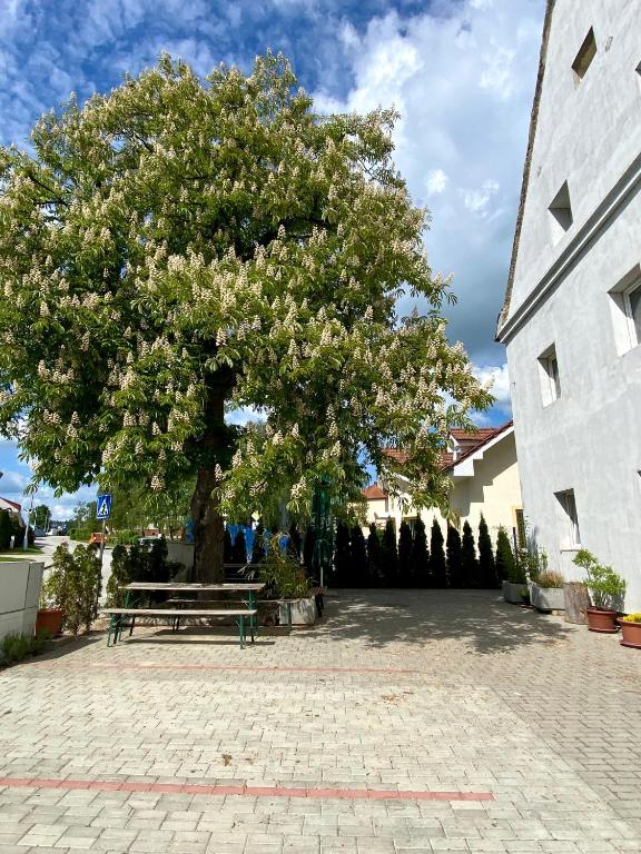Zahrada ubytování Ubytovna Kaplice