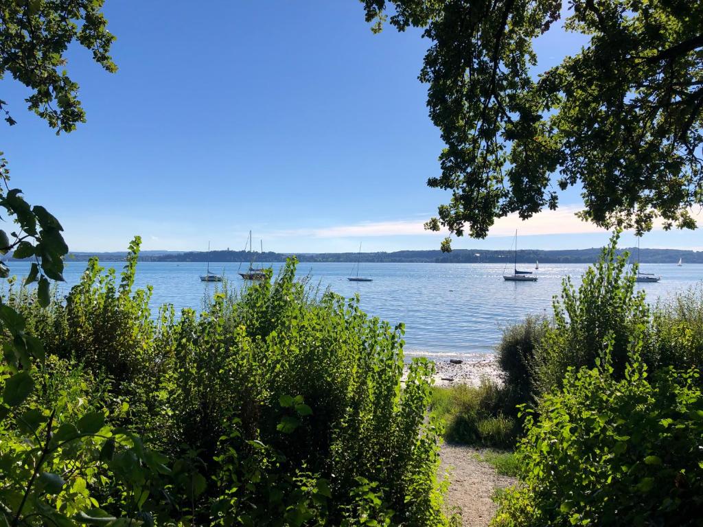 Φυσικό τοπίο κοντά σε αυτό το διαμέρισμα