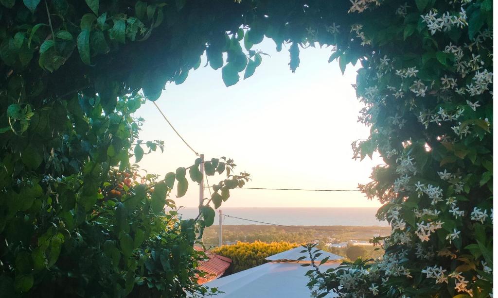 a view of the ocean from the garden of a house at Amorevole villa con terrazza e doccia esterna in Pozzuoli