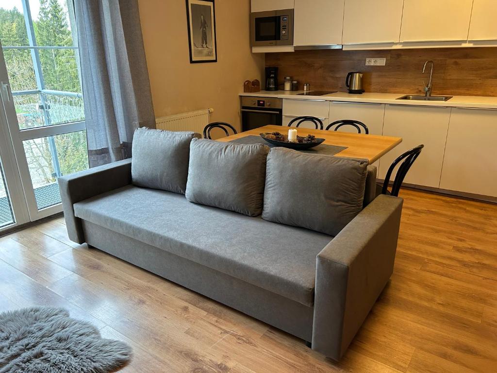Posezení v ubytování Apartmány Gryf Harrachov
