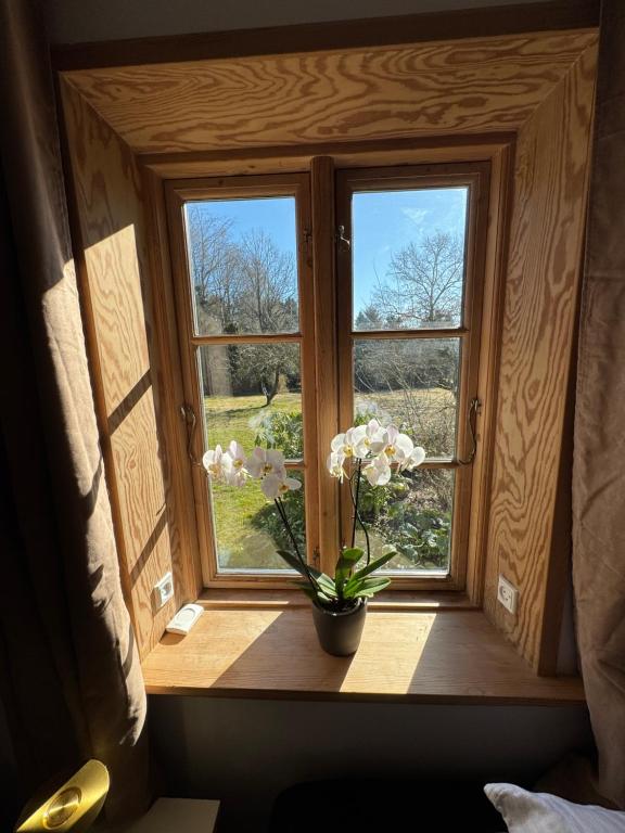 Zahrada ubytování Casa de Rainer Tommerup