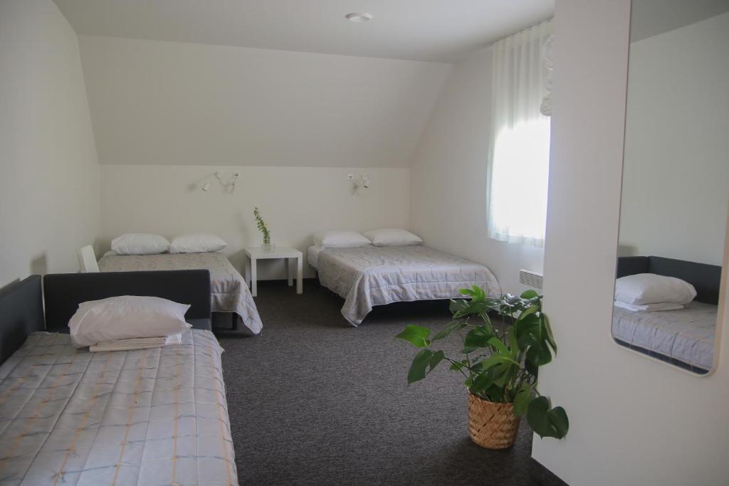 Fotografie z fotogalerie ubytování Voore Guesthouse v destinaci Voore