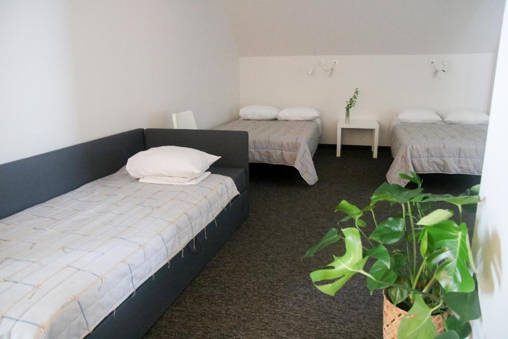 Fotografie z fotogalerie ubytování Voore Guesthouse v destinaci Voore