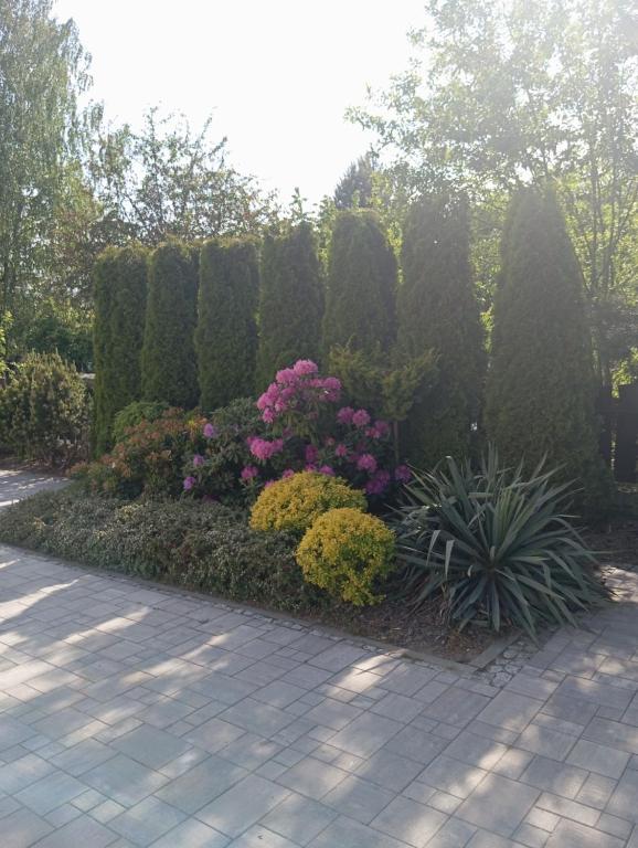 a garden with bushes and flowers on a sidewalk at Zacisze in Rozalin