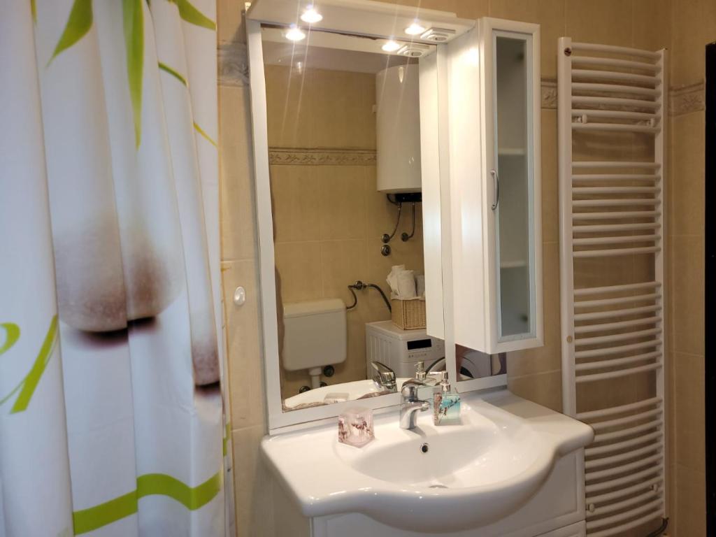 een badkamer met een wastafel en een spiegel bij Apartmani Tara Medulin in Medulin