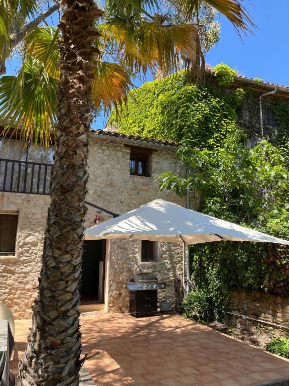 un bâtiment avec un palmier et un parasol blanc dans l'établissement Marguerite a la campagne, à Agel