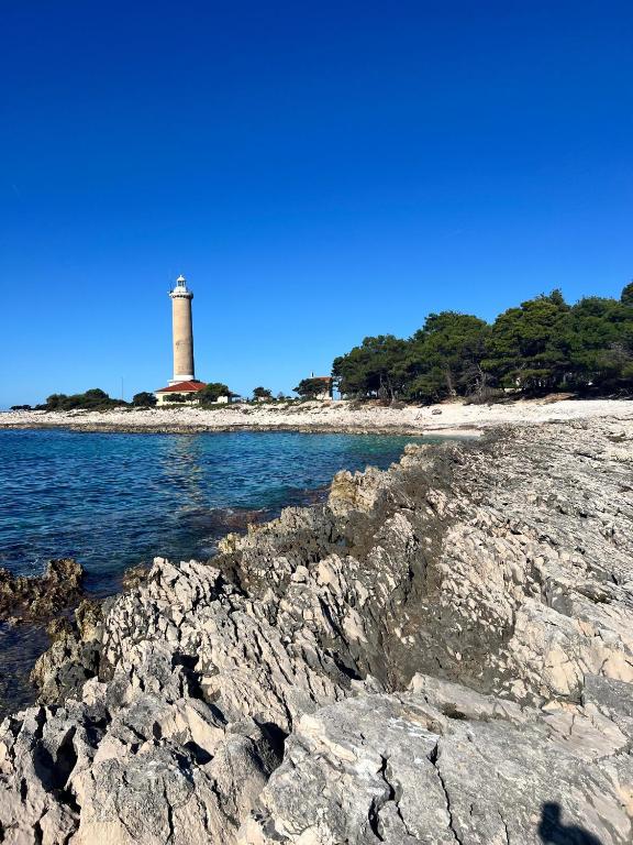 Φυσικό τοπίο κοντά σε αυτό το διαμέρισμα