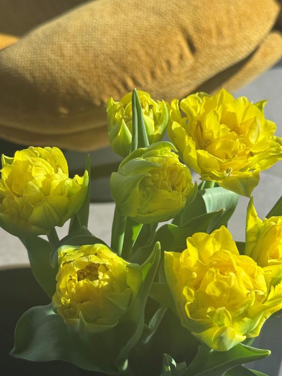 Abton Hotel - Resim 9