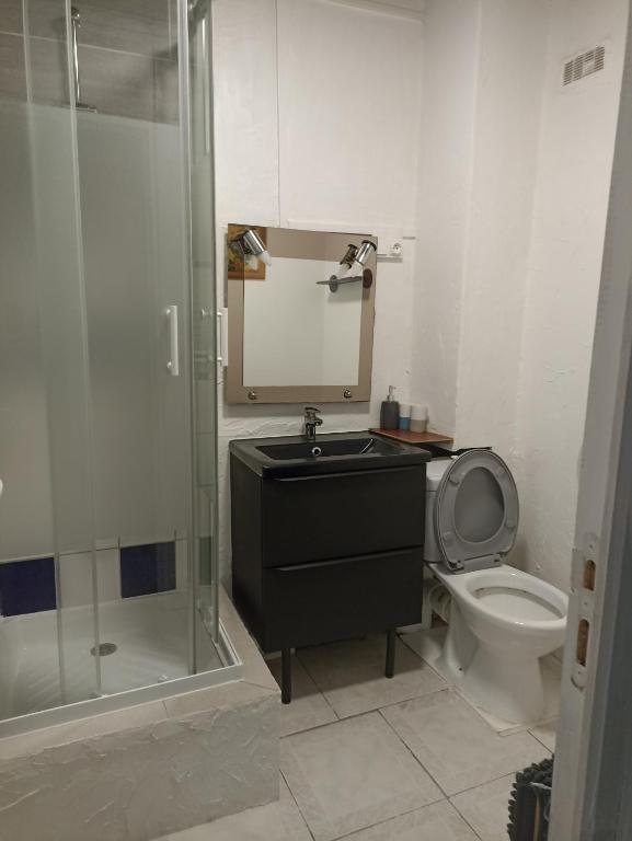 une salle de bain avec un lavabo, des toilettes et une douche dans l'établissement Ancienne Boulangerie, à Saint-Sauveur-en-Puisaye