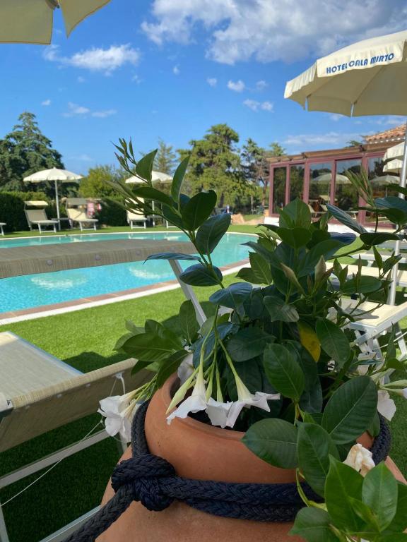 Bazén v ubytování Hotel Cala Mirto nebo v jeho okolí