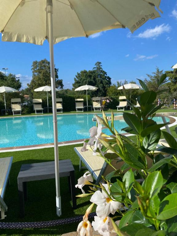 Bazén v ubytování Hotel Cala Mirto nebo v jeho okolí