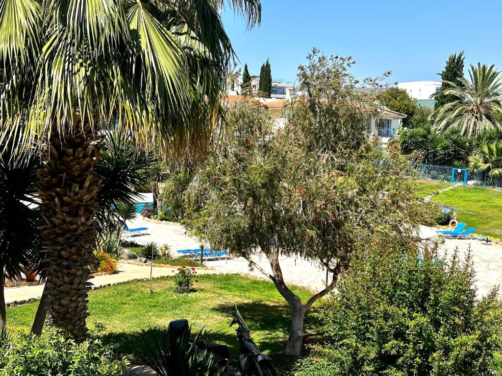 Zahrada ubytování Paradise Gardens pool view apartment