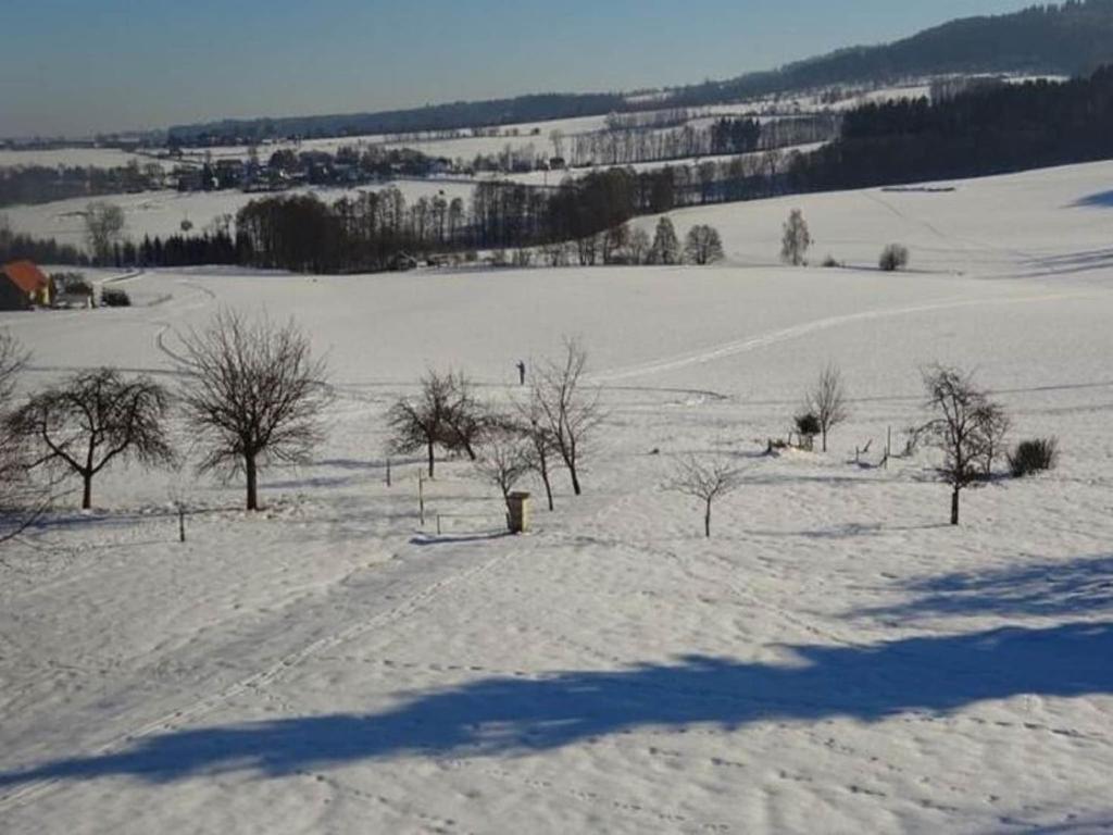 Spacious Holiday Home in Dlouhý with Sauna v zimě
