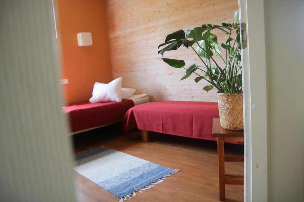 Fotografie z fotogalerie ubytování Voore Guesthouse v destinaci Voore