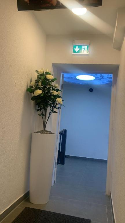 Fotografie z fotogalerie ubytování Hotel am Schlossplatz v destinaci Hechingen
