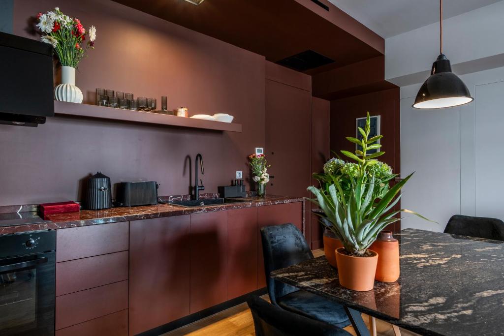 Η κουζίνα ή μικρή κουζίνα στο Syntagma Urban Residence