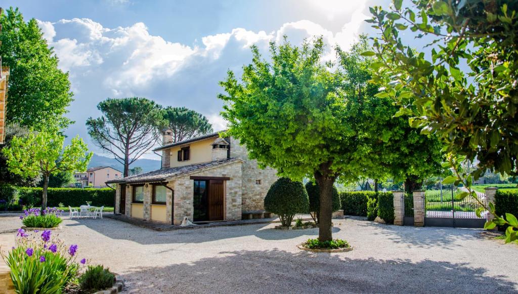 una casa in pietra con un albero di fronte di Le Case dell'Olmo ad Assisi