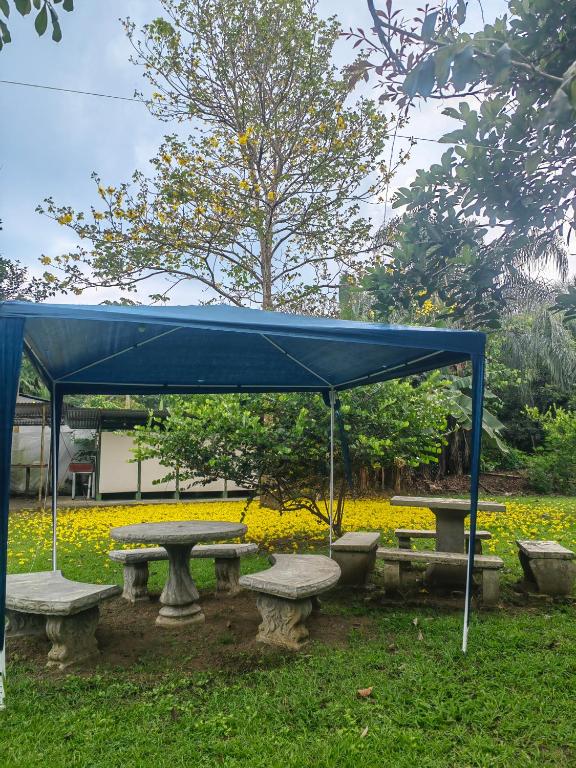 Zahrada ubytování Glamping y Camping Zompopas Trails Costa Rica