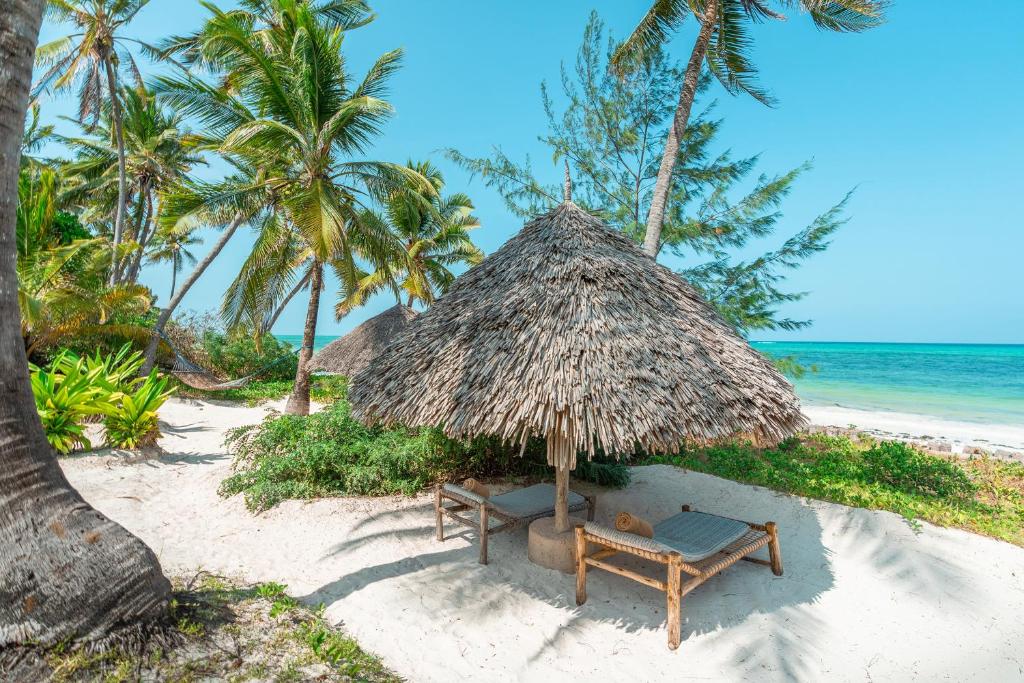 Xanadu Luxury Villas & Retreat Zanzibar photo 4