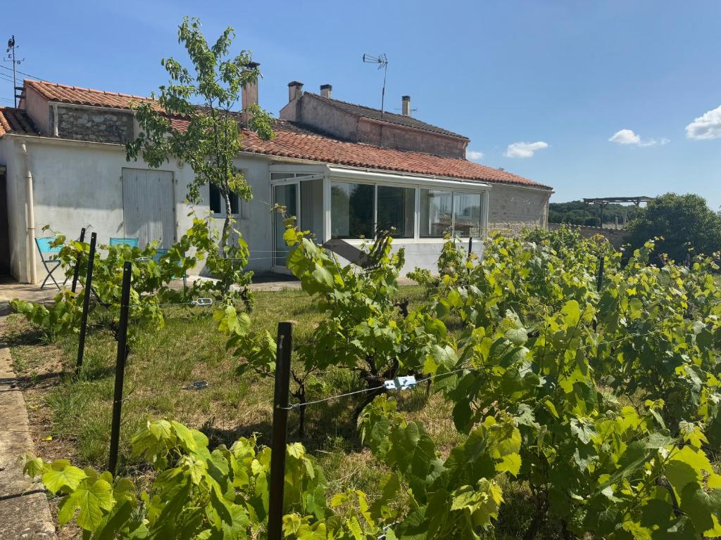 un jardin devant une maison dans l'établissement Dans mon Verger - Agréable maison idéalement située, à Saint-Agnant