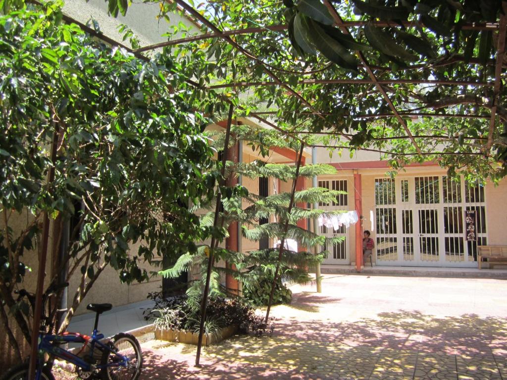 una bicicleta estacionada frente a un edificio en Manuhie Backpackers Lodge, en Bahir Dar